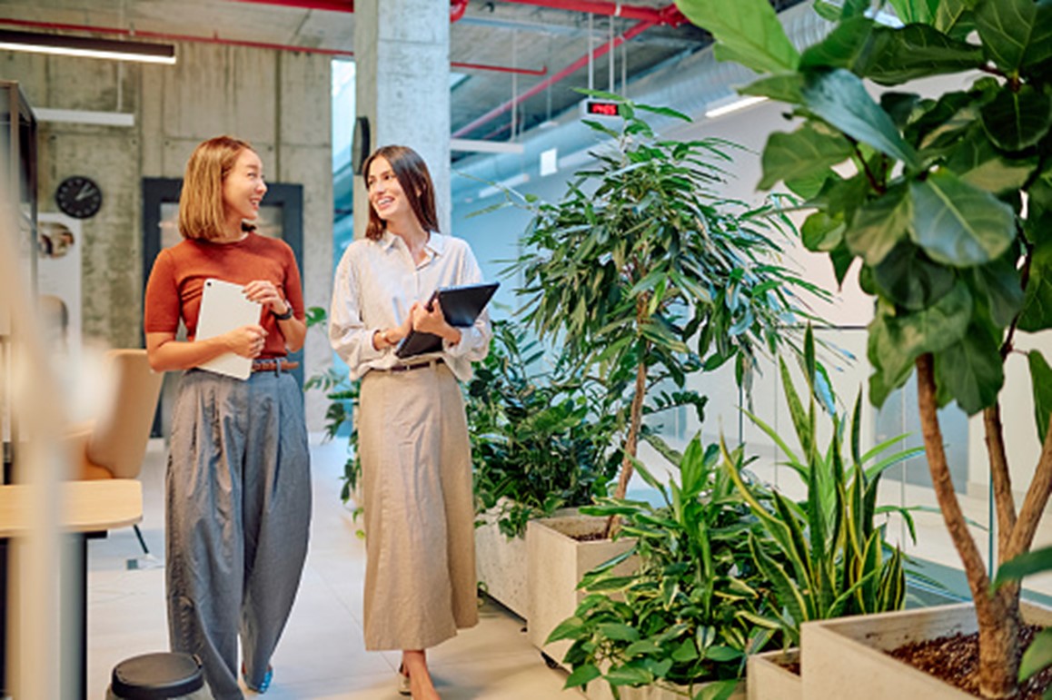Workplace Wellness Ideas to Boost Productivity